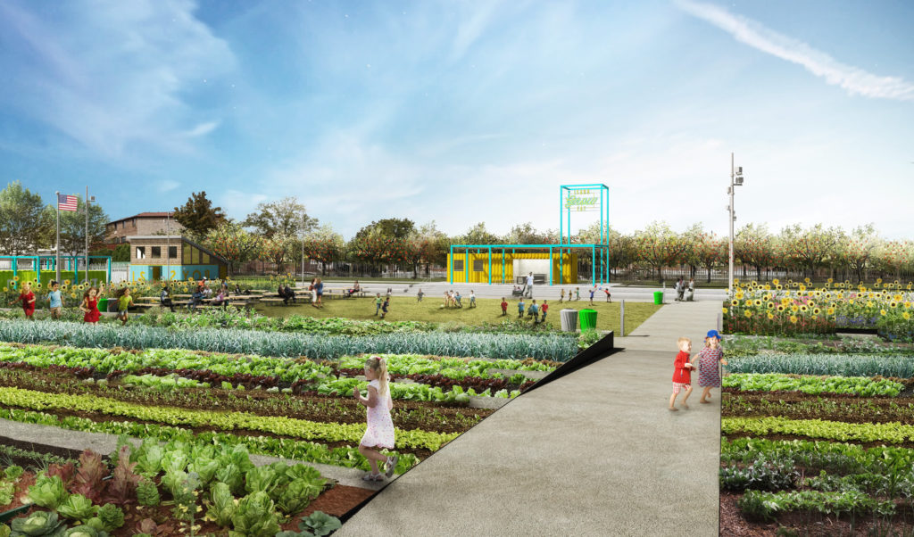 Rendering of growing area in Learning Garden in Brooklyn