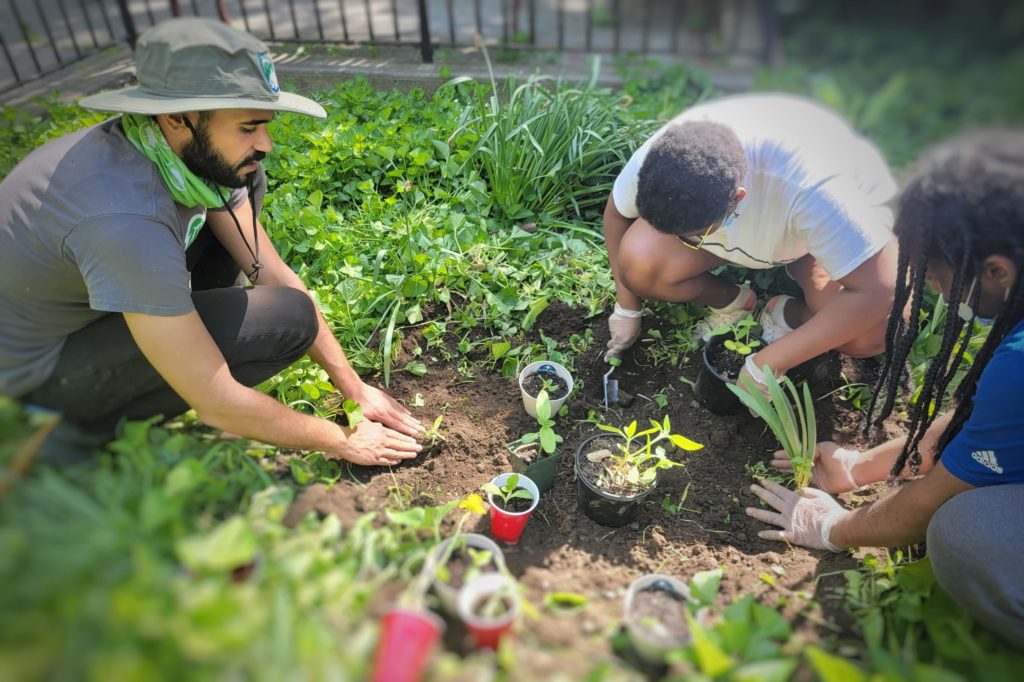 Engagement: photo of people planting in community garden