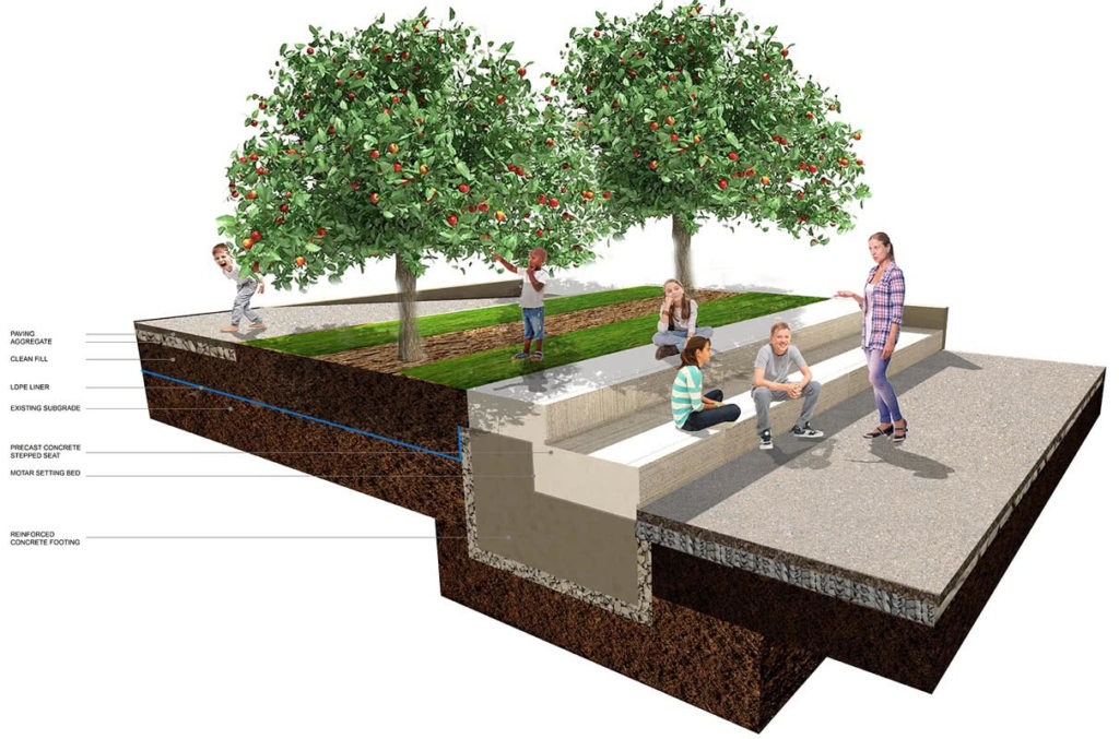 Rendering of Brooklyn Learning Garden orchard area cutaway